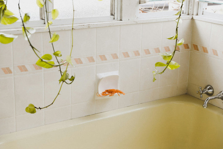 Magnesium Chloride Flakes vs Epsom Salt