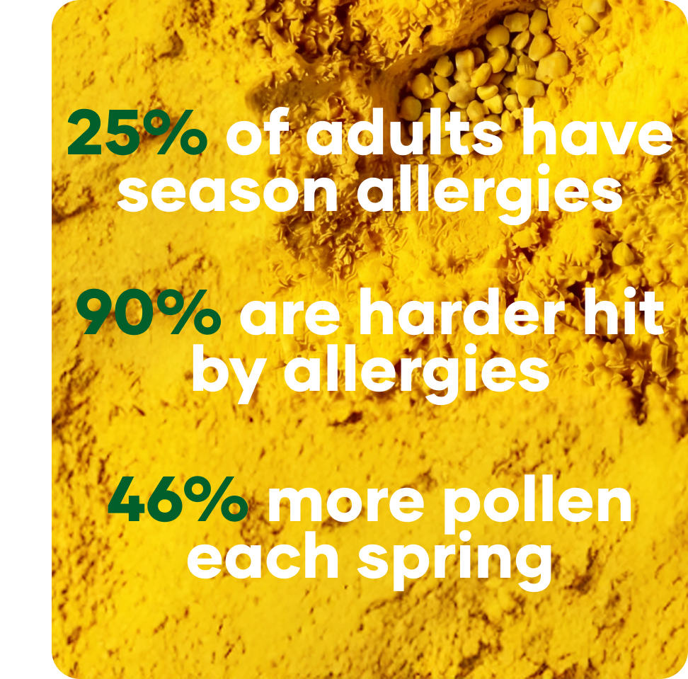 pollen punching bundle