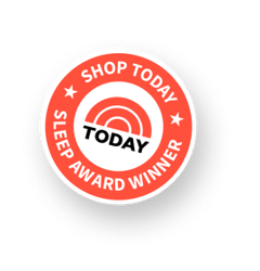 TODAY Shop Today Sleep Award winner